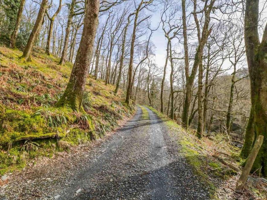 Pandy Farm - Waen Fechan Долгеллау Экстерьер фото