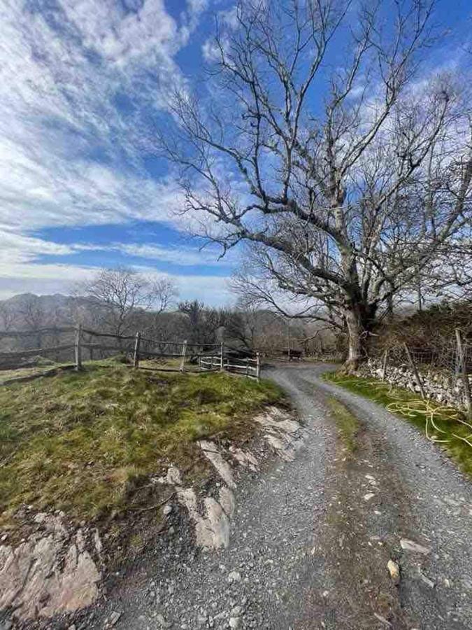 Pandy Farm - Waen Fechan Долгеллау Экстерьер фото